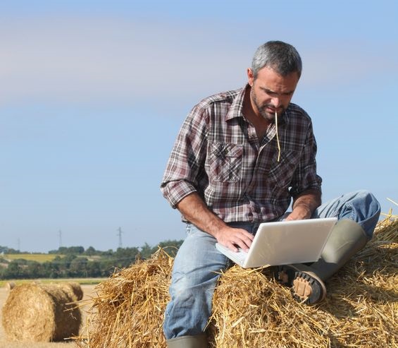 Farm manager training could bridge productivity gap, AHDB Says