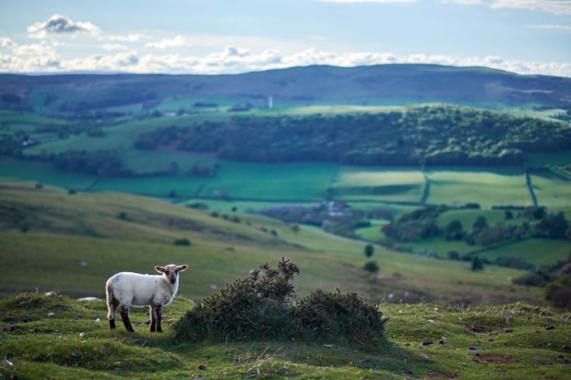 A new call has been made for the introduction of a three-point plan to protect farming in National Parks