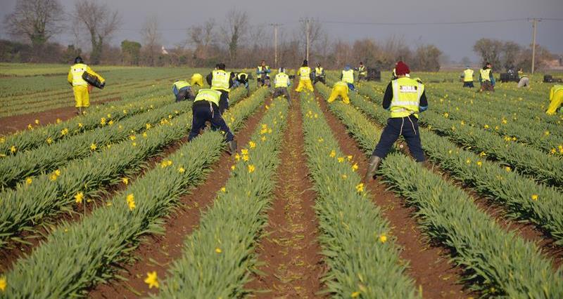 The NFU is concerned that the Home Office has could remove the existing Leave to Remain process