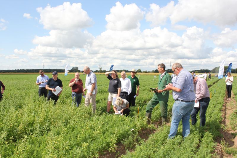 The demonstration trials and events will look at the whole crop management