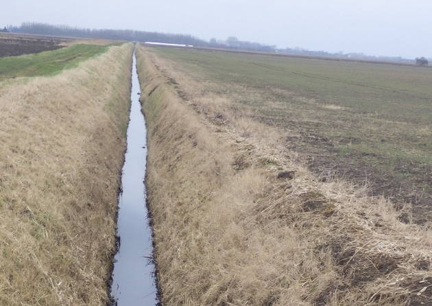 A company that grows crops for energy has been ordered to pay a total of £45,648.50 in fines, costs and compensation