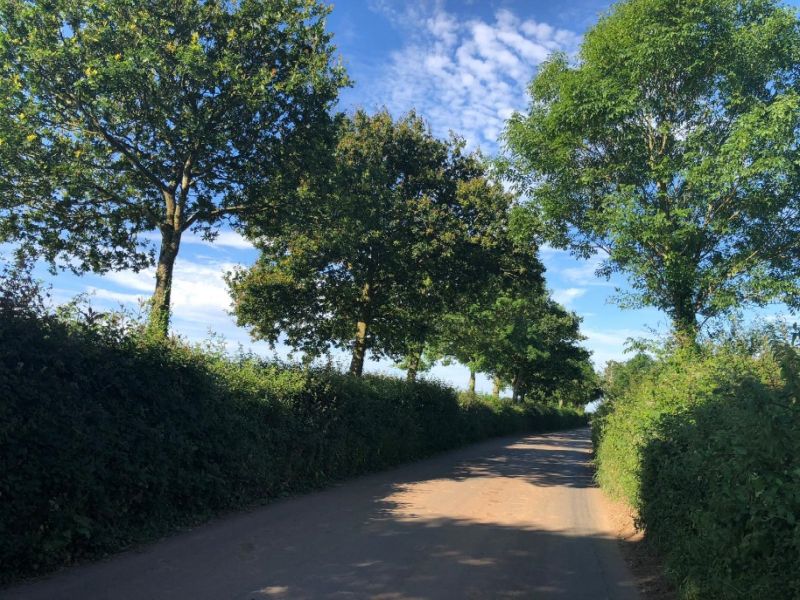 Farmers are encouraged to health-check a hedge as part of the Great British Hedgerow Survey