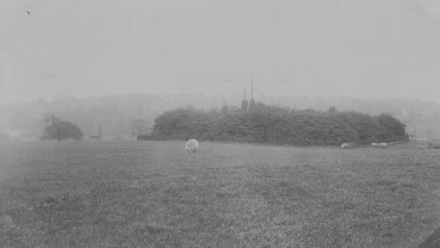 Sixty years ago, it was a common sight to see sheep grazing the North London park (Photo: City of London Corporation)