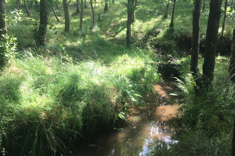 The flood management pilot has been launched on the West Yorkshire farm to help reduce the risk of flooding