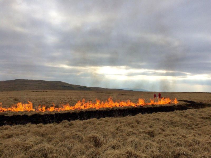 The Heather and Grass Burning Code is in place to avoid damage to the environment, hefty fines and cross compliance penalties