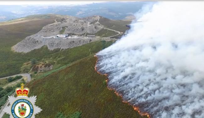 The grazing of sheep, combined with managed burning and mowing, were all 'essential elements' for the maintenance of heathland