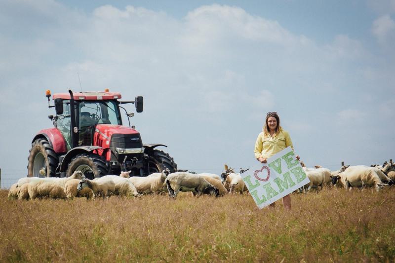 The initiative looks to stem the steady decline in lamb sales and boost consumer attitudes towards the meat