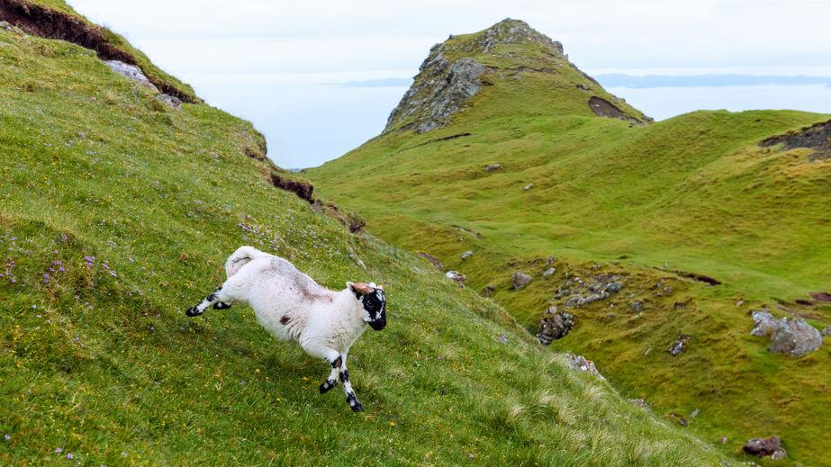 The government has announced its new allocation of farm funding across the UK