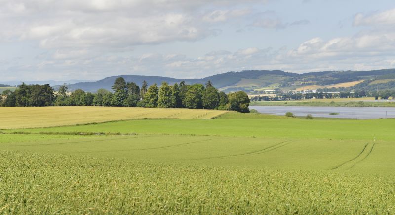 The farm is for sale as a whole for offers over £995,000 or in three lots (Photo: Galbraith)