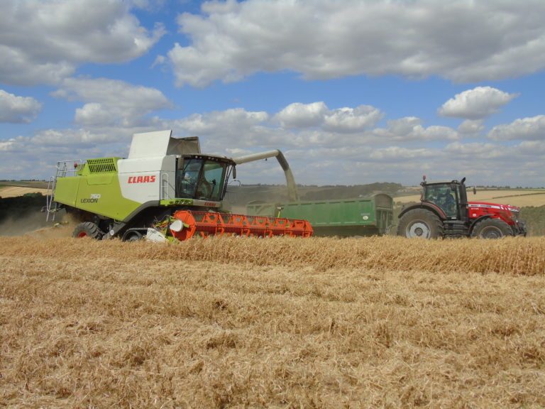 LG Stallion was the field pea variety of choice, selected for its high yield potential and good standing ability