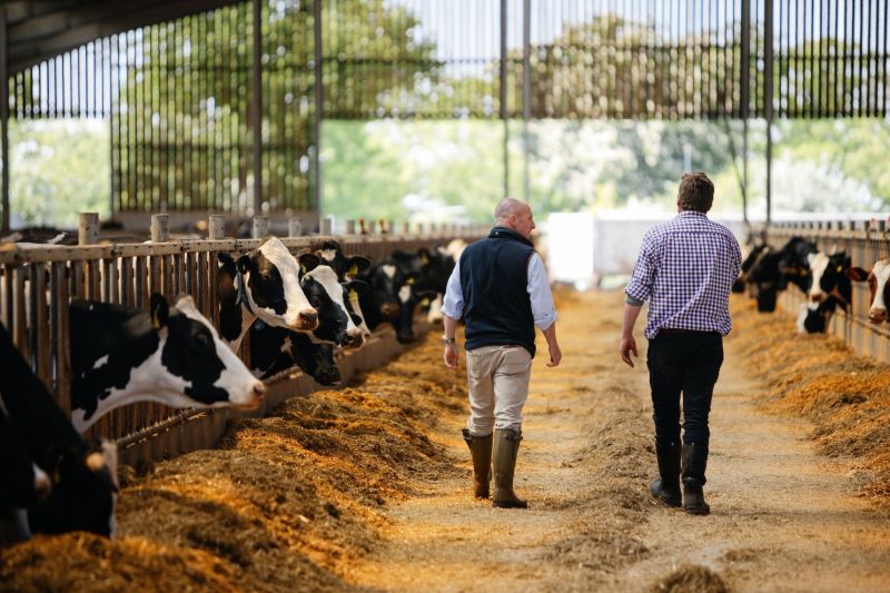 The advice service helps dairy farmers reduce feed waste and optimise input utilisation