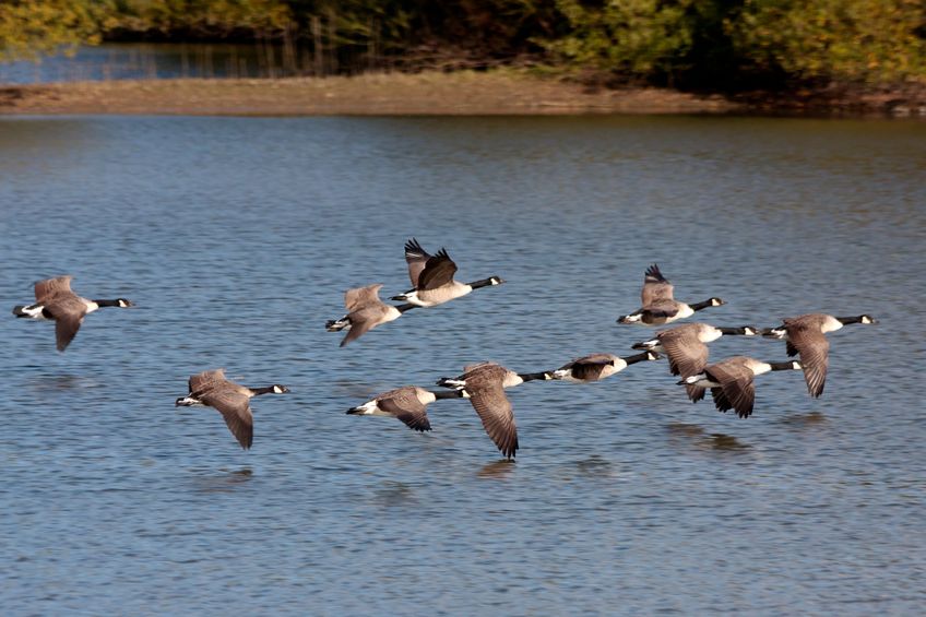 Landowners have been urged to regularly check reservoirs and dams from a safety perspective