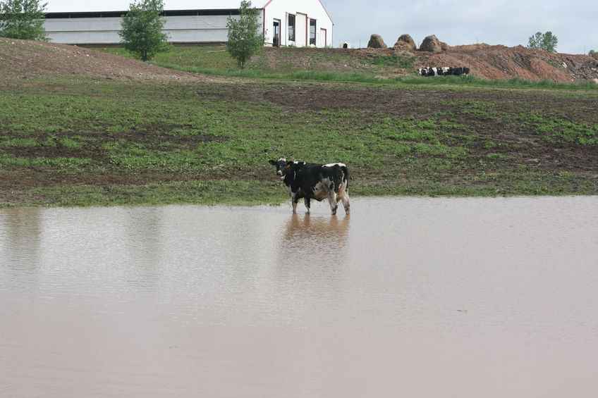 The floods of 2015 caused major economic losses for the farming industry