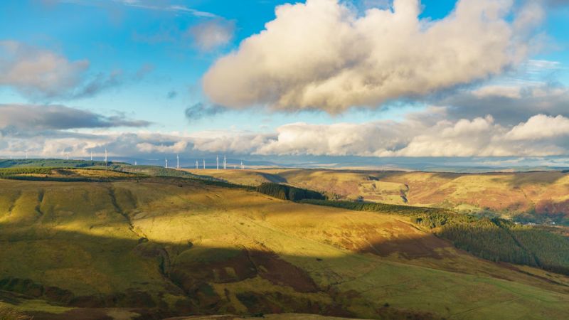 Rewilding Britain said local farmers and the project could work 'side by side' amid mounting concern