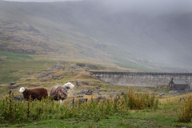 The National Trust's Lake District farmers are looking to 'adapt to the impacts of climate change'