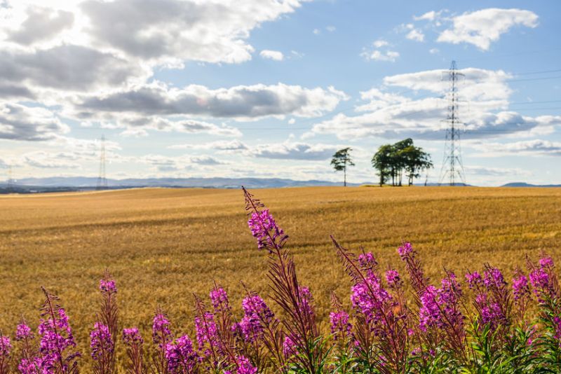 The government has been urged to re-invest £3bn currently gained from the EU to support green farming