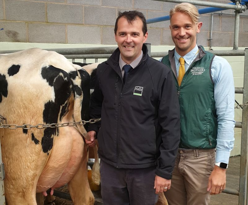 Auctioneers Stuart Hassall and Jonny Dymond with one of the prized cows