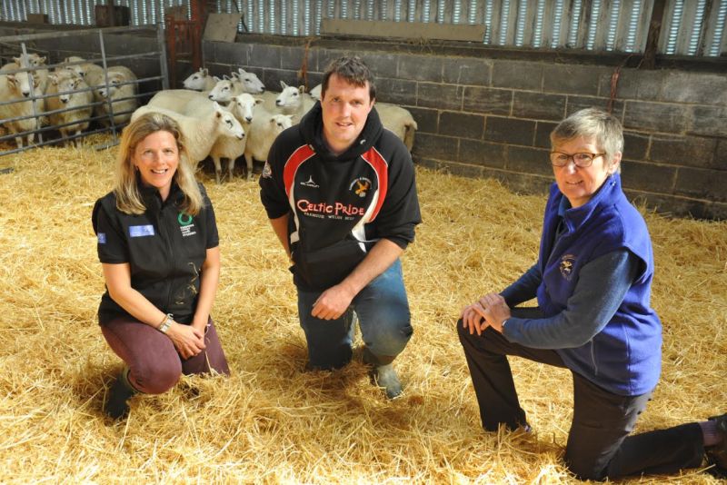A sheep farm in Carmarthenshire has experienced cumulative gains from improvements in multiple areas