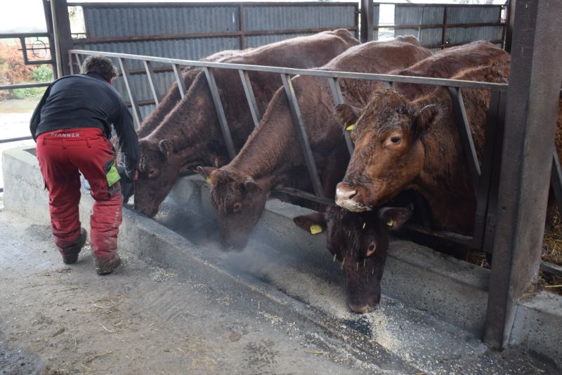 Research suggests biochar could have an important role to play in reducing environmental impacts of farming