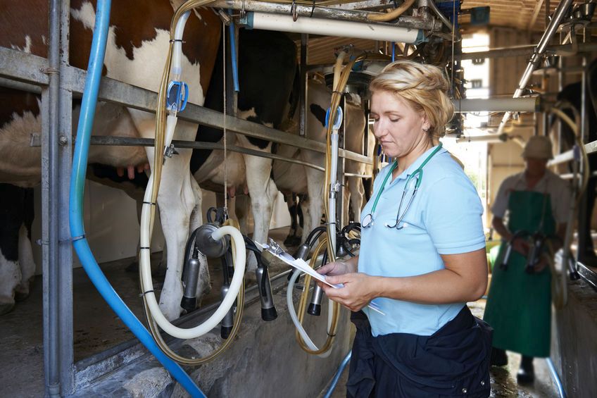 A loss in overseas trade and an available workforce are major concerns for the veterinary industry