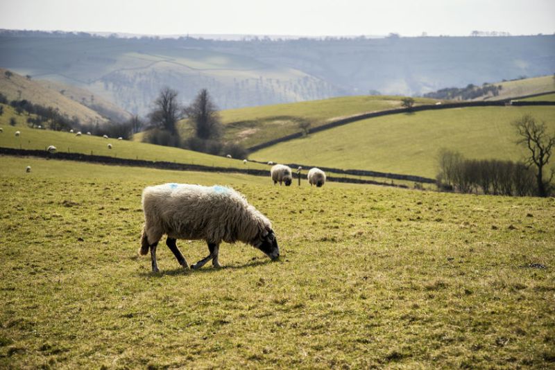 The release of the review has led to calls for national parks to work more closely with farmers