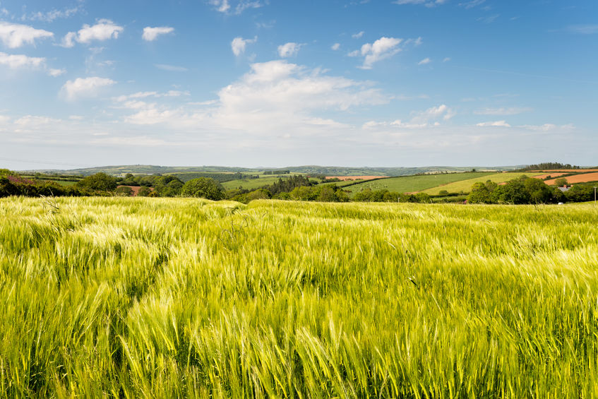 The programme offers farming businesses free skills training to become more resilient