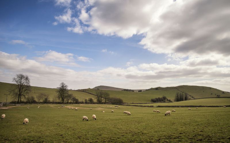 Northern Irish farmers will look at innovative approaches to managing the uplands with livestock
