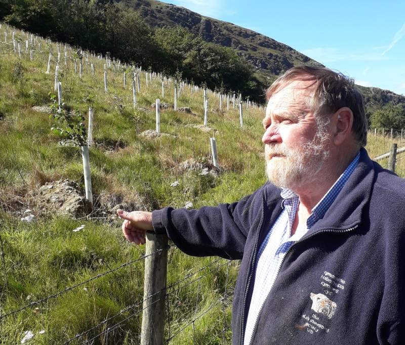 Derek Morgan planted the trees as part of a long-term investment and to help the environment