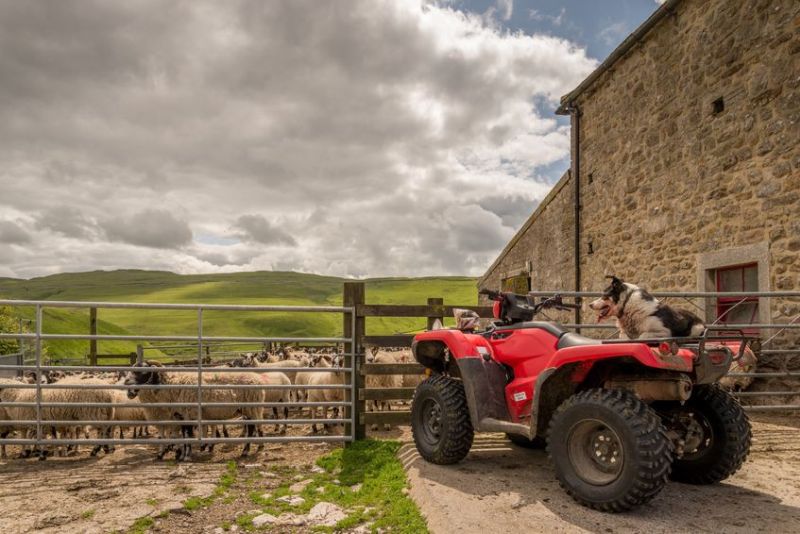 A stolen quad bike has been recovered and a man arrested in connection with its theft from North Yorkshire