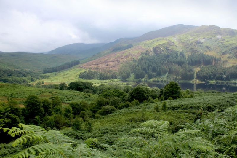 The farm, located near the Galloway Forest Park, wants to keep away from the UK's growing connectivity