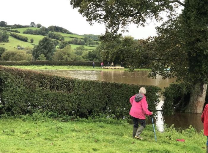 Around 70 sheep have been successfully rescued from a flooded field in Powys