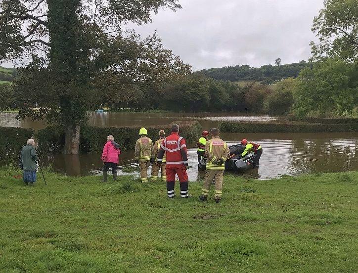 The sheep were uninjured following the incident