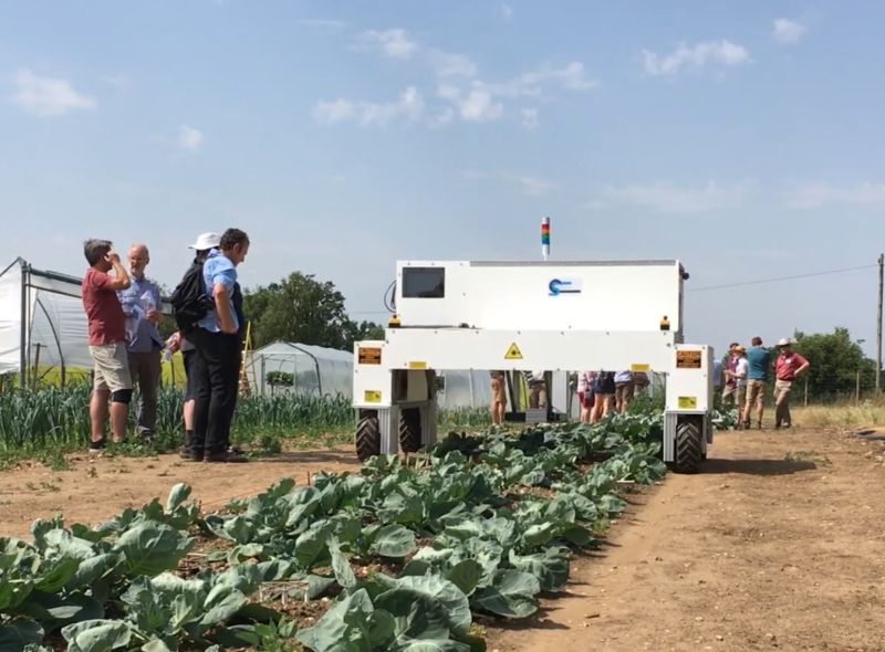 The herbicide-spraying robot uses cameras to target weeds individually