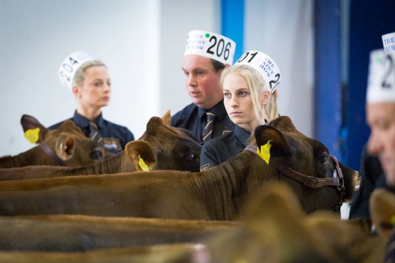 Thousands of visitors turned out to exhibit their cattle and discover the latest technology to improve efficiencies in the years ahead