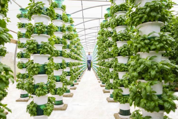 The vertical farms could potentially reduce imports from the EU