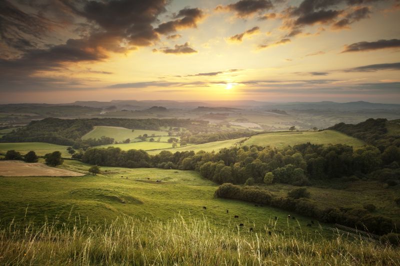 Farmers and landowners near Bromsgrove, Worcestershire, are urged to respond to the council’s search for new housing sites