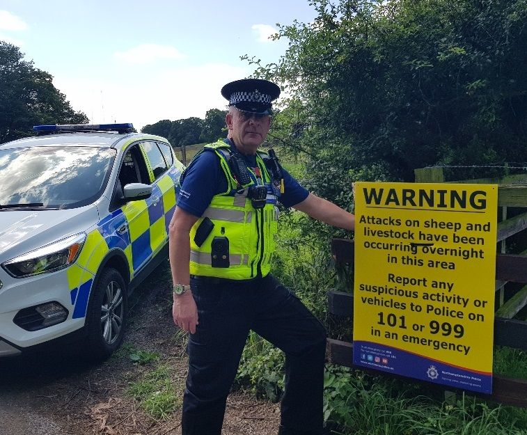 Northamptonshire has been hit by several incidents of sheep being illegally butchered in recent months