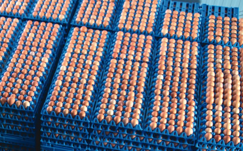 Industry leaders believe zero tariffs are a threat to UK egg production