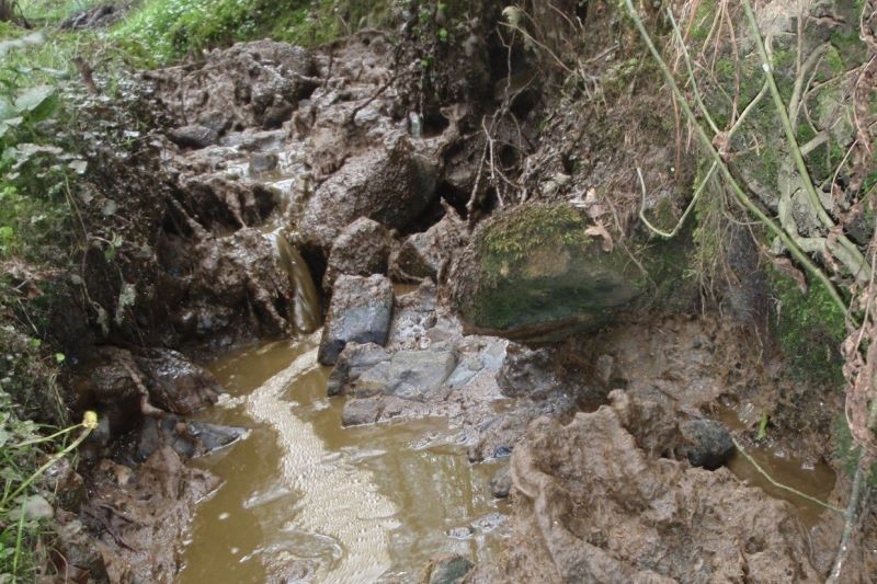 The Hodder was discoloured and smelled of slurry for several kilometres, Environment Agency officers said