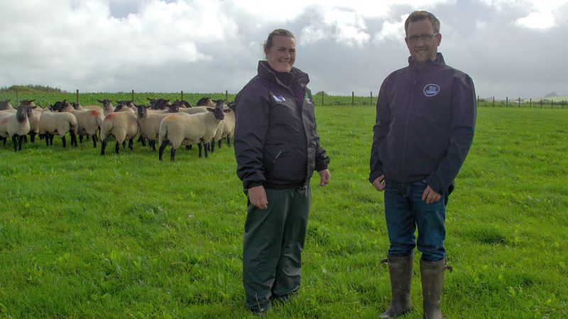 The young couple are both determined to develop every possible stream of income they can from the farm