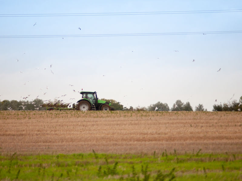 The farming industry has roundly criticised the updated tariff regime as many groups fear cheaper imports in the event of a no-deal Brexit