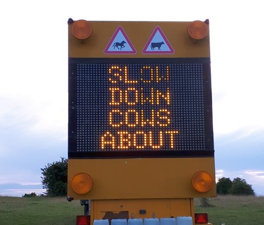 Cows are frequently killed in the Gloucestershire common, according to local farmers (Photo: Kill Your Speed, Not Us)
