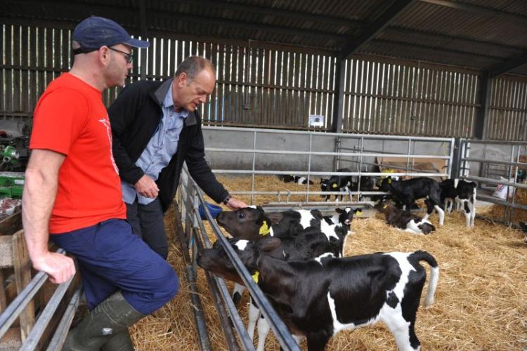 Livestock expert Jamie Robertson said farmers under-utilise their vets when it comes to advice on cleaning and disinfection