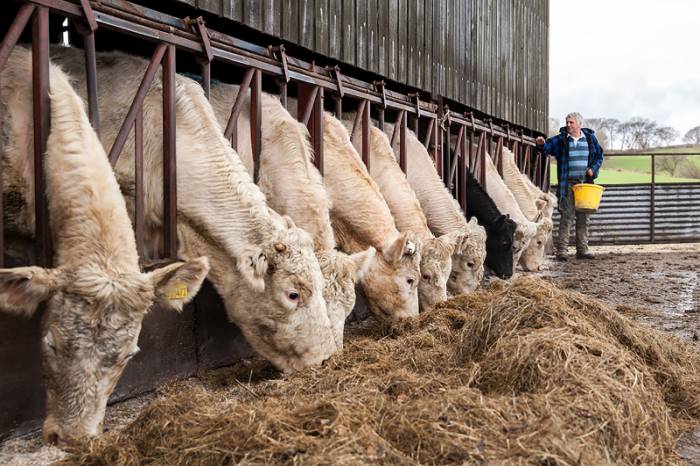 The Farmers' Union of Wales advocates the UK staying in the EU's single market and customs union