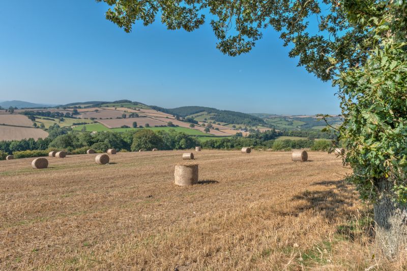 A profitable mixed farm enterprise on the Shropshire/Herefordshire border is on the market