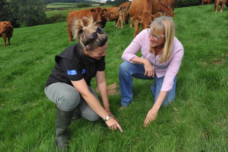 Farmers were advised during a Farming Connect Focus Farm event at Newton Farm, near Brecon