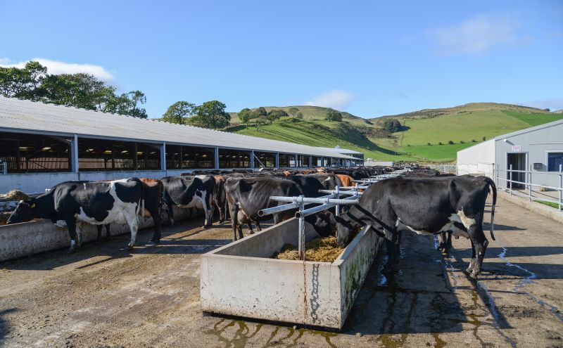 The property was acquired by the current owners in 2014, with the principal aim to create a modern New Zealand-style dairy complex