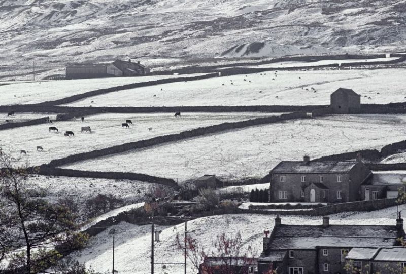 An animal health expert has advised farmers to prepare their cattle as the UK looks set to face the worst winter for thirty years