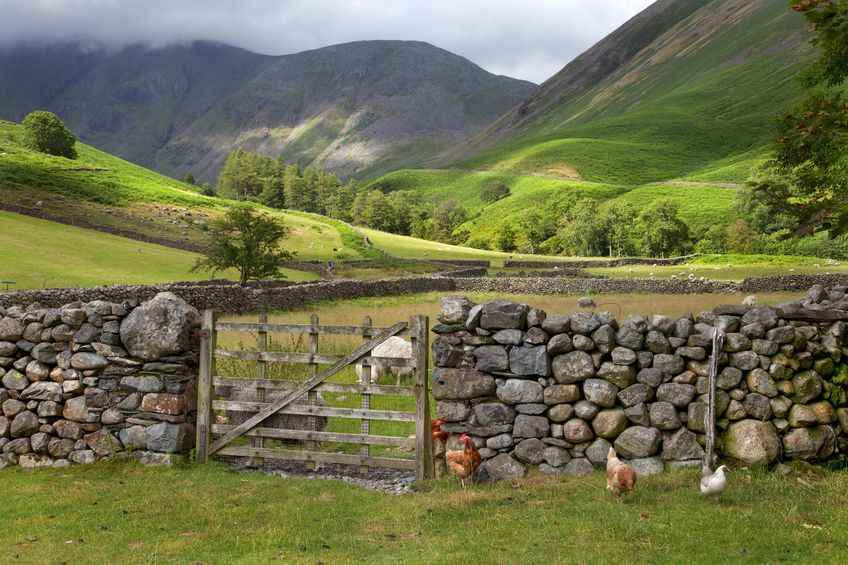 The number of agricultural businesses that are optimistic about their performance has dropped by a quarter compared to the previous year