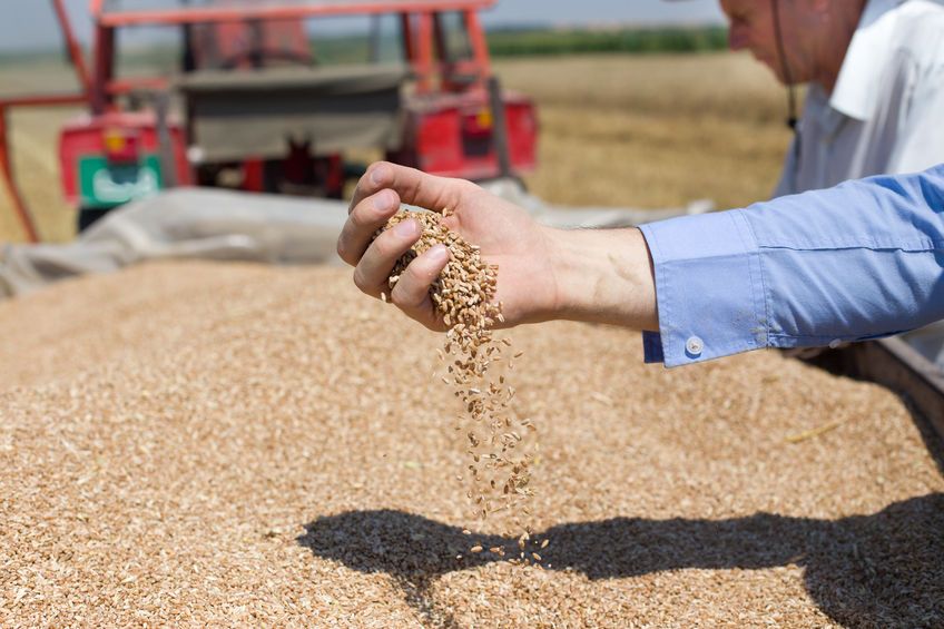 Red Tractor has extended the deadline for temporary storage for certain types of grain